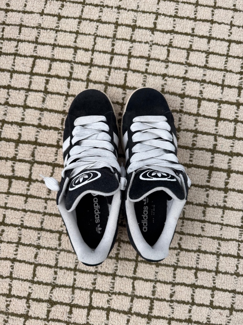 Adidas campus